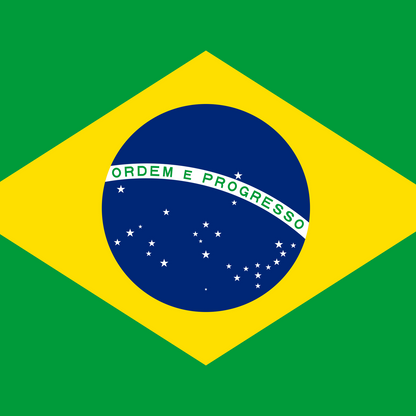 Brazil 2002 WC Edition