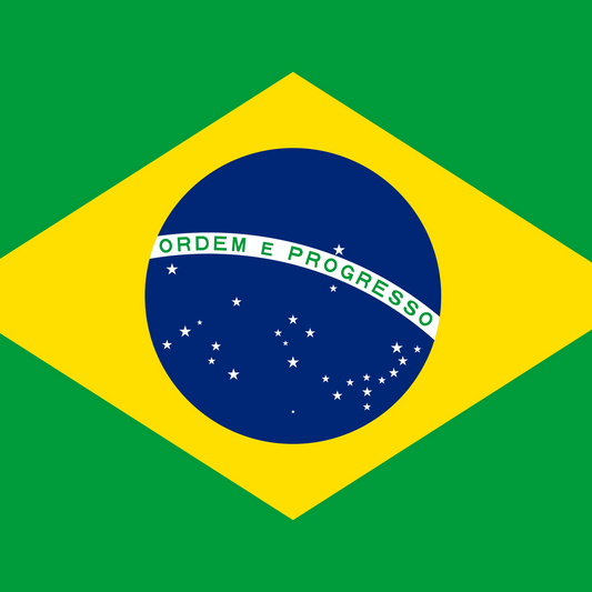 Brazil 2002 WC Edition